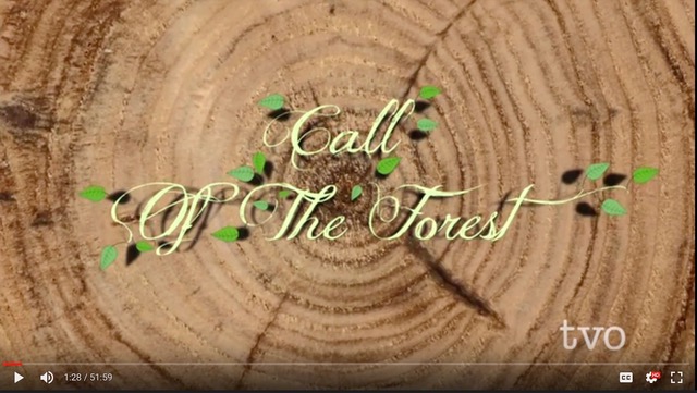 calloftheforest-titles2